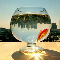 Manufacturers Exporters and Wholesale Suppliers of Fish Bowls hyderabad Andhra Pradesh